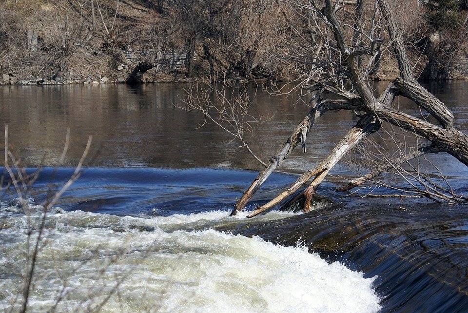 Фото из Яндекс. картинки бесплатно