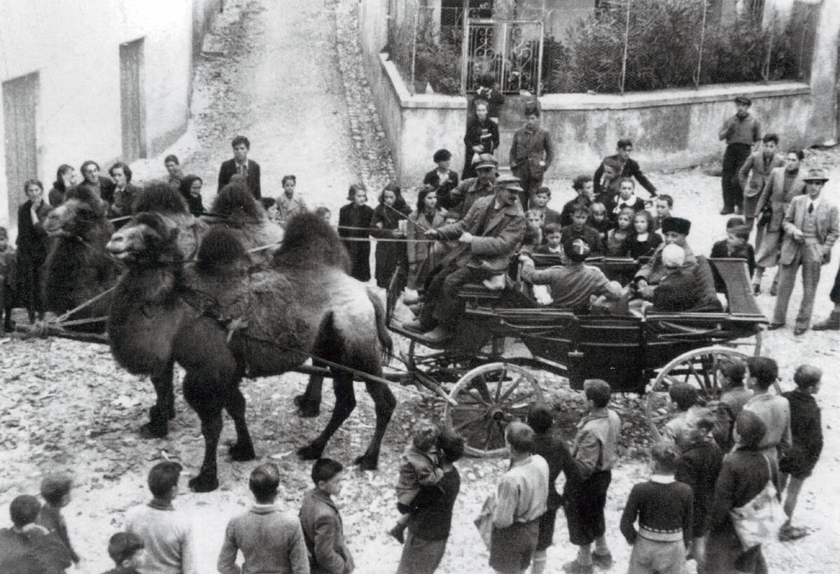 . . . Это странная и малоизвестная история. С октября 1944 по май 1945 года — в сердце Европы, на севере Италии в провинции Фриулия, существовала объединенная автономия казаков и горцев Кавказа.-9