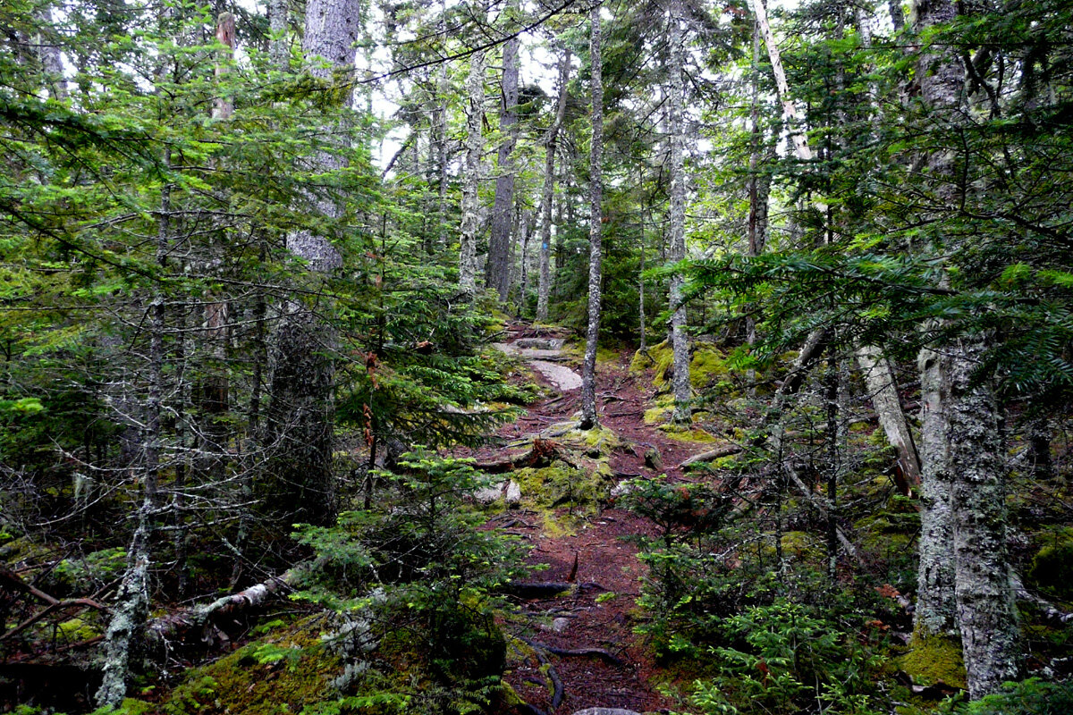 Фото John Rakestraw, Great Wass Island, Maine