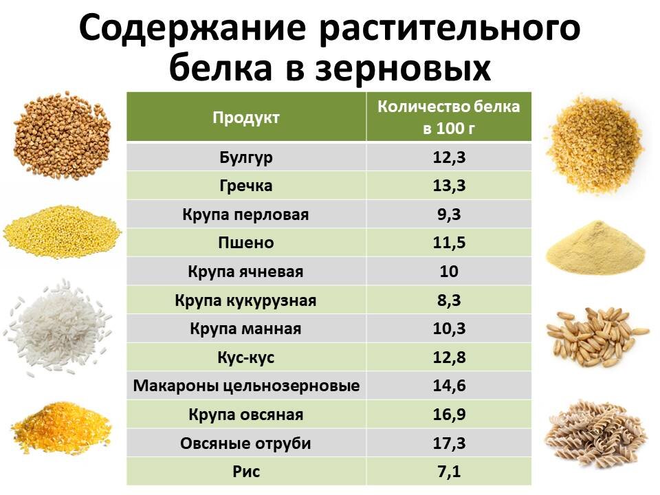 Самый белковый продукт на 100. Крупа с высоким содержанием белка. Высокобелковые крупы.