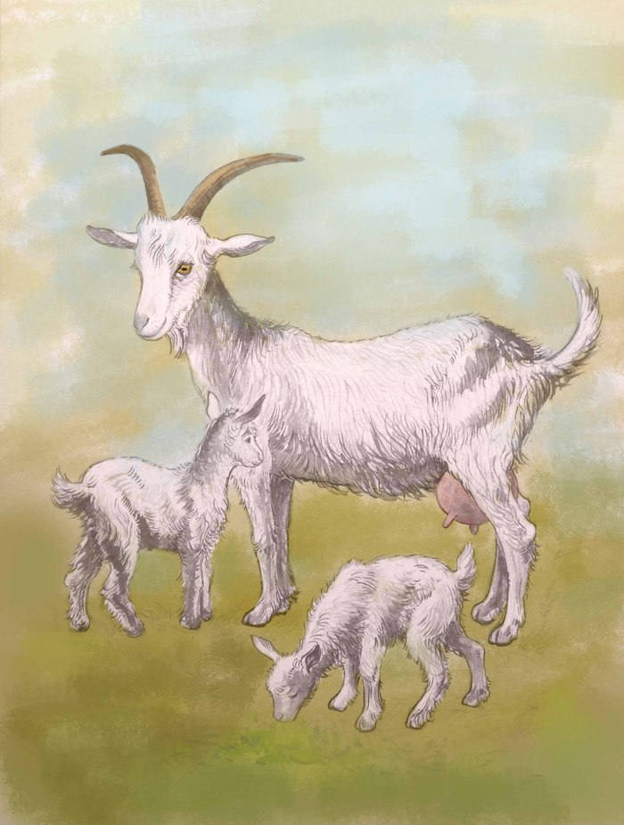 Тоже из интернета. 