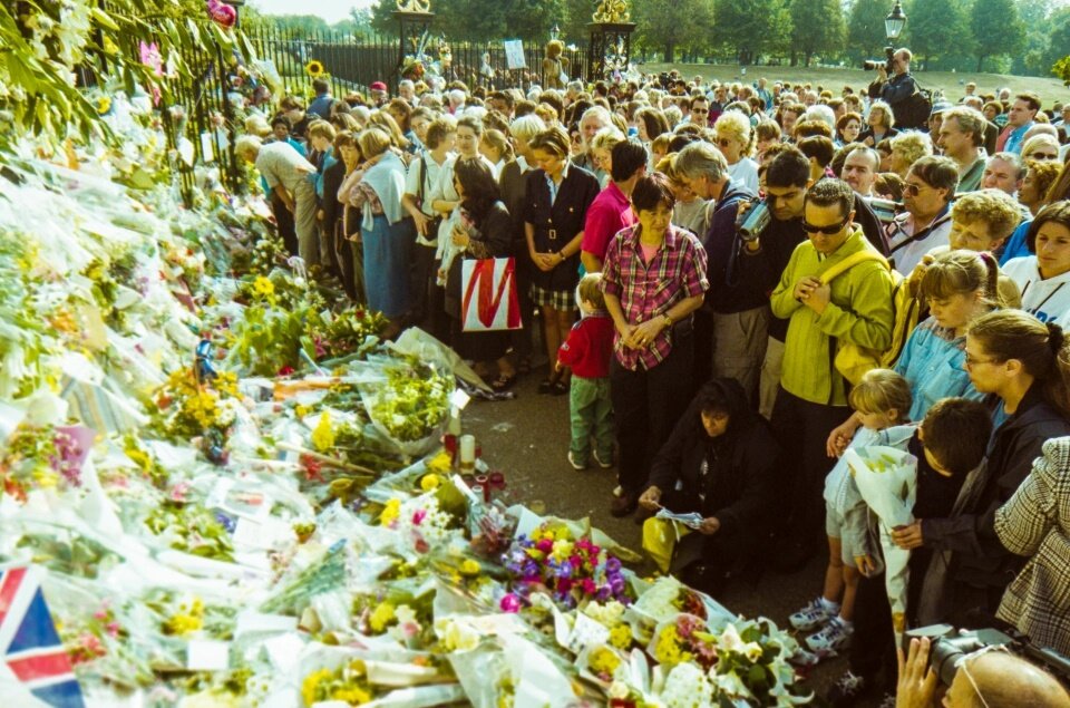 Фото из сети Интернет