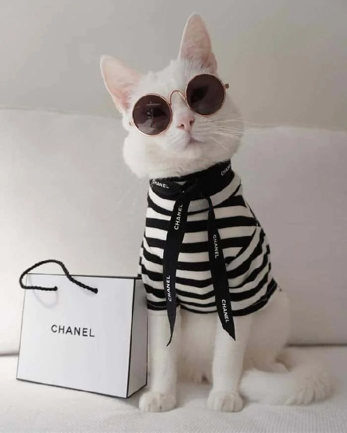 Обложка любезно предоставлена гуглом