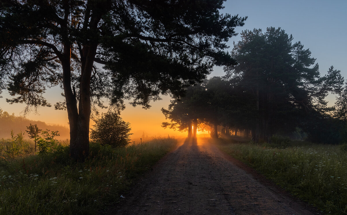фото автора ( рассвет в заречном парке )