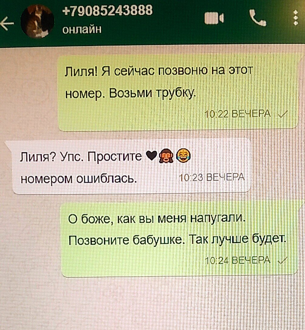 Ох, уж этот WhatsApp, сейчас смешно, а сразу было не до смеха |  Историческое фэнтези. Попаданцы. | Дзен