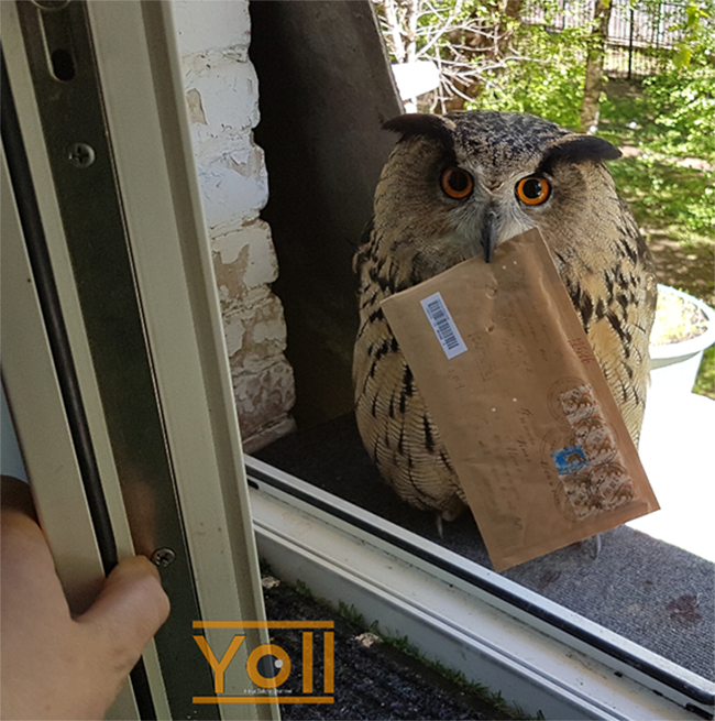 Редактировать галереюДобавьте описаниеПøчтũ :)