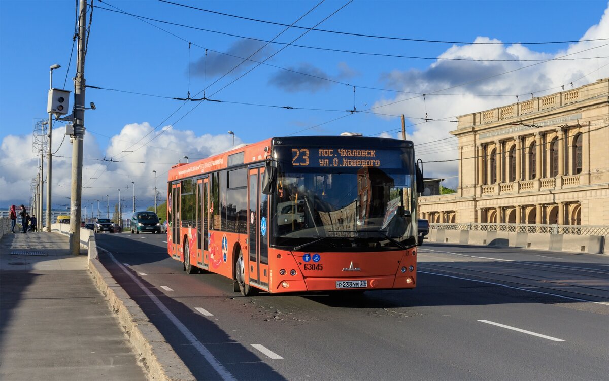 Автобусы в калининграде фото