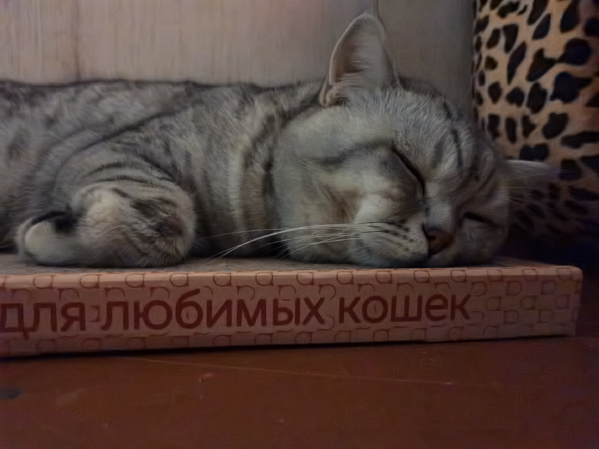 Для самых царапательных снов.