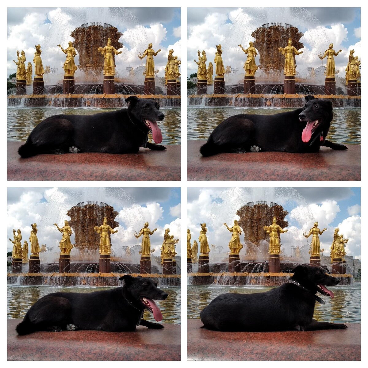 Наша Лиза у фонтана Дружбы народов на ВДНХ в Москве, июнь 2021 г.