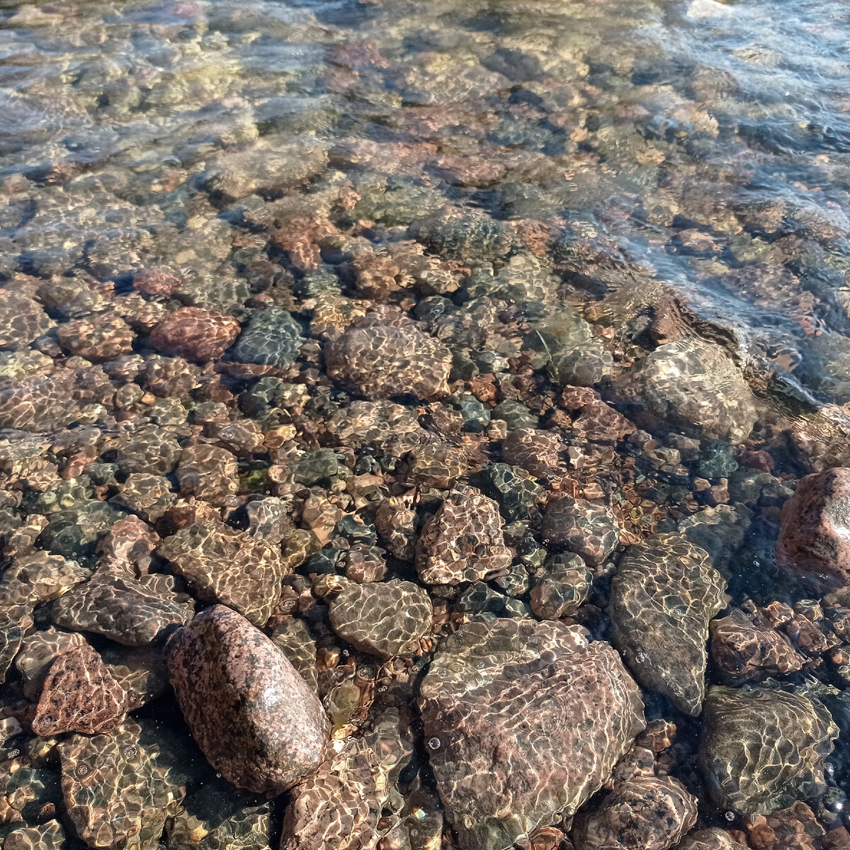 Водорослей у берега предостаточно, но сама вода кристально прозрачная