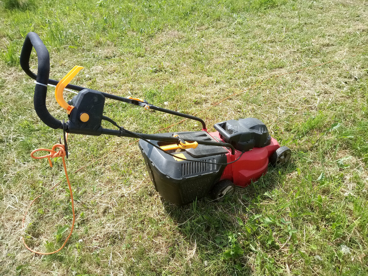 Газонокосилка с травосборником - главный мой инструмент на участке, 15 июня 2021