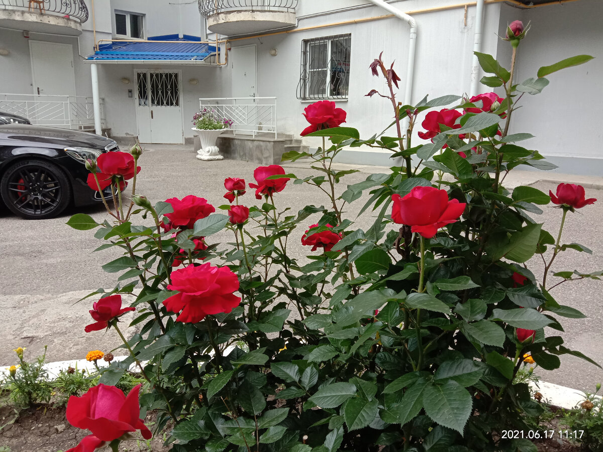 Фото автора канала