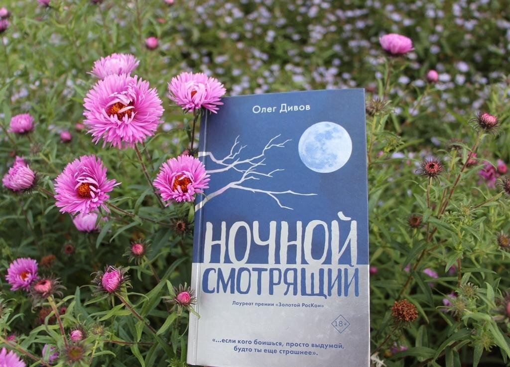  Олег Дивов, «Ночной смотрящий»; фото - мое 