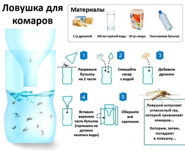 Как сделать ловушку для комаров своими руками