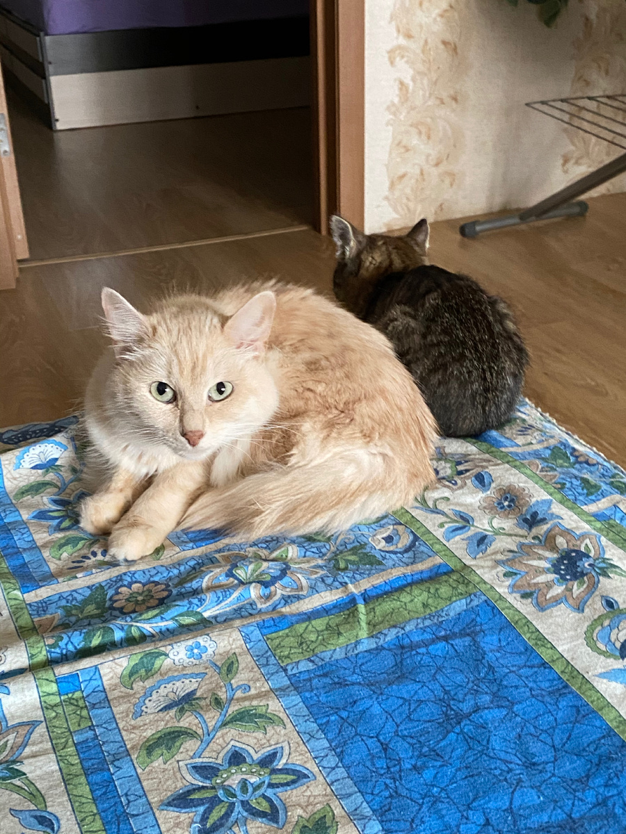 Соня и Пичи