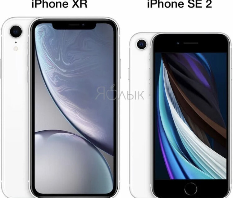 Сравнение размеров iPhone XR и iPhone SE 2
