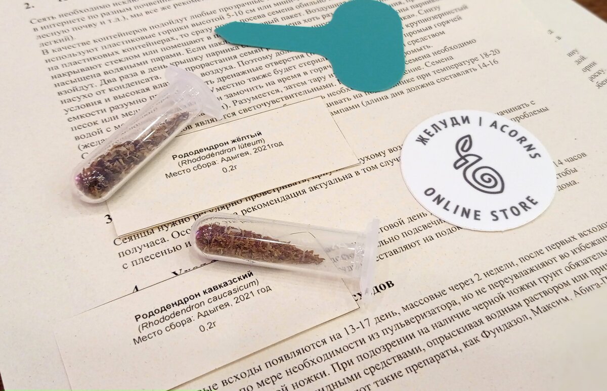 Семена рододендронов очень мелкие