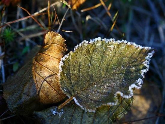     ФОТО: PIXABAY