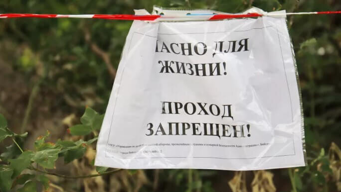 Фото: Сергей Кулыгин / "БР"