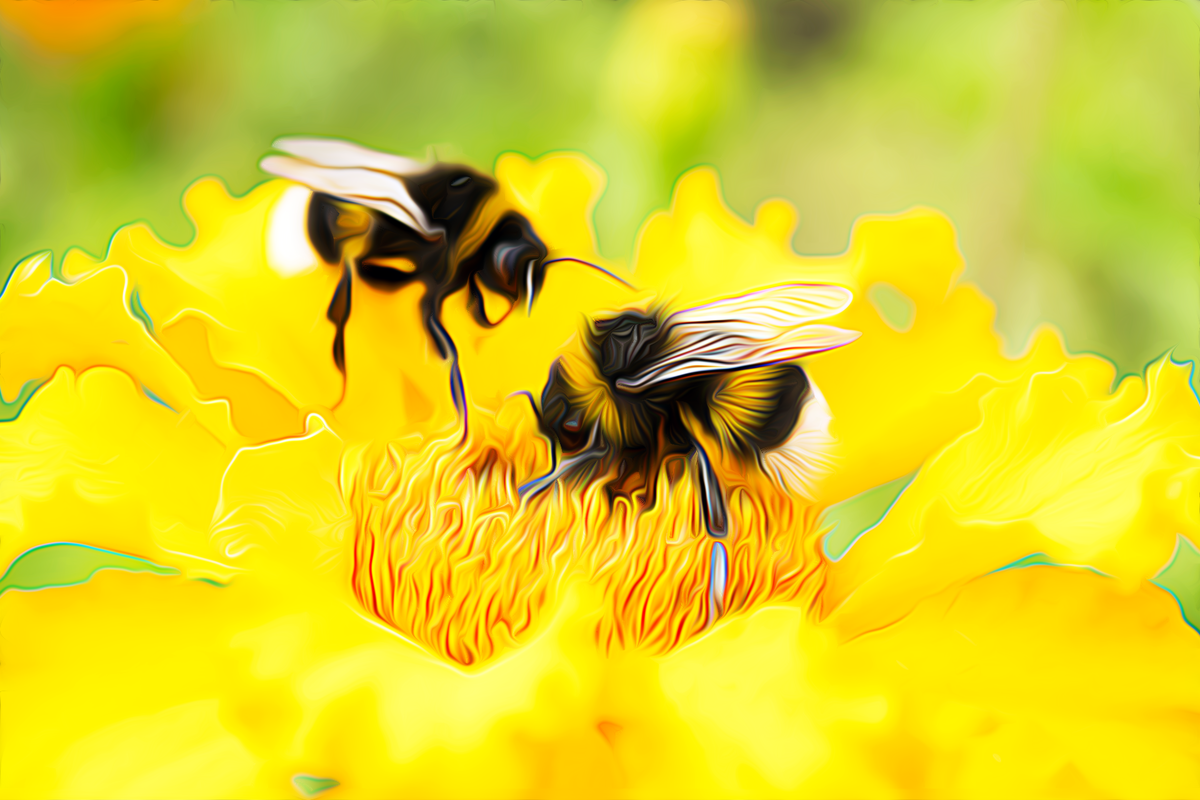 красивые пчелки