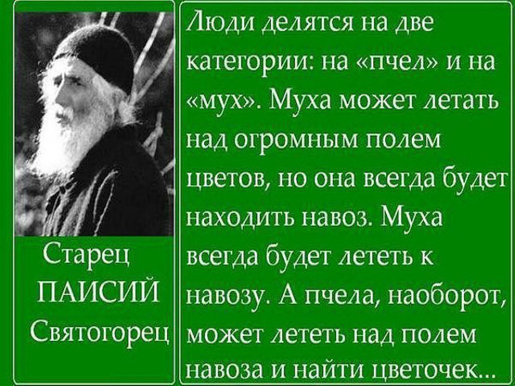фото из открытого источника Яндекс. Картинки.