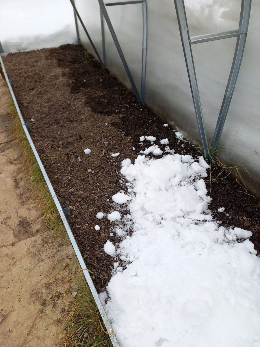 Стенка теплицы юго-запад, Снег тает и земля уже  намокла.