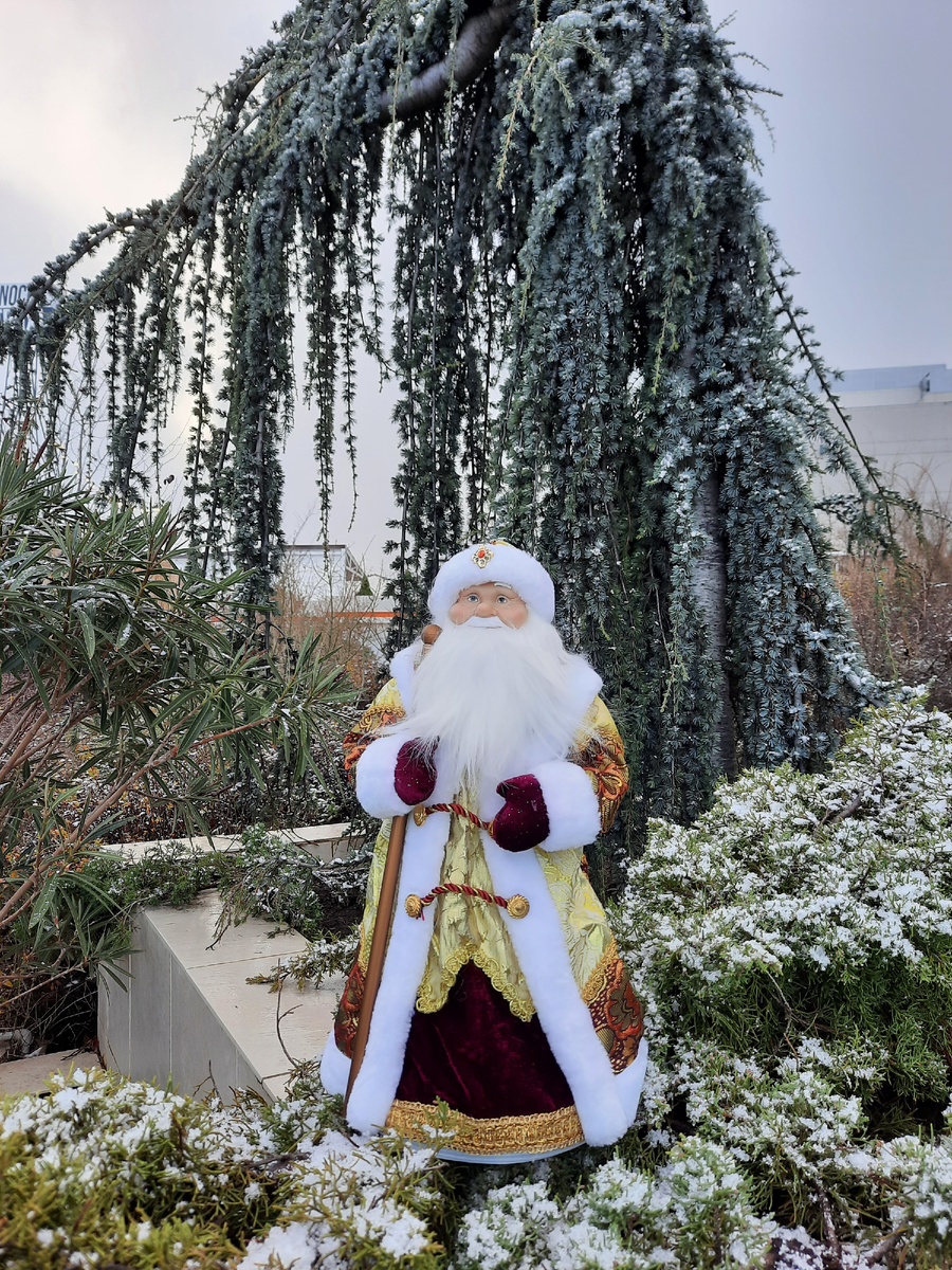 Фото автора