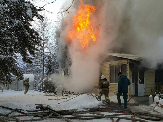     Фото: Telegram NSK