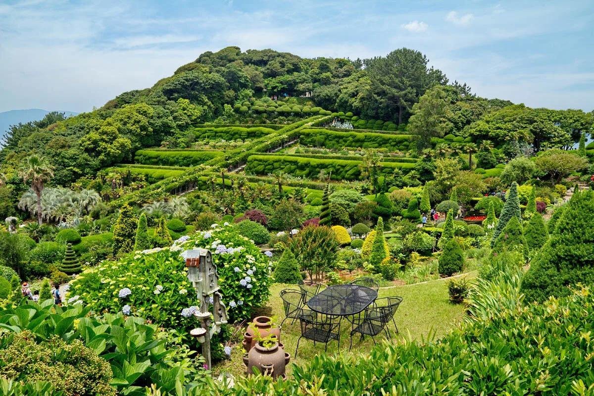 Ботанический сад "Ведо"