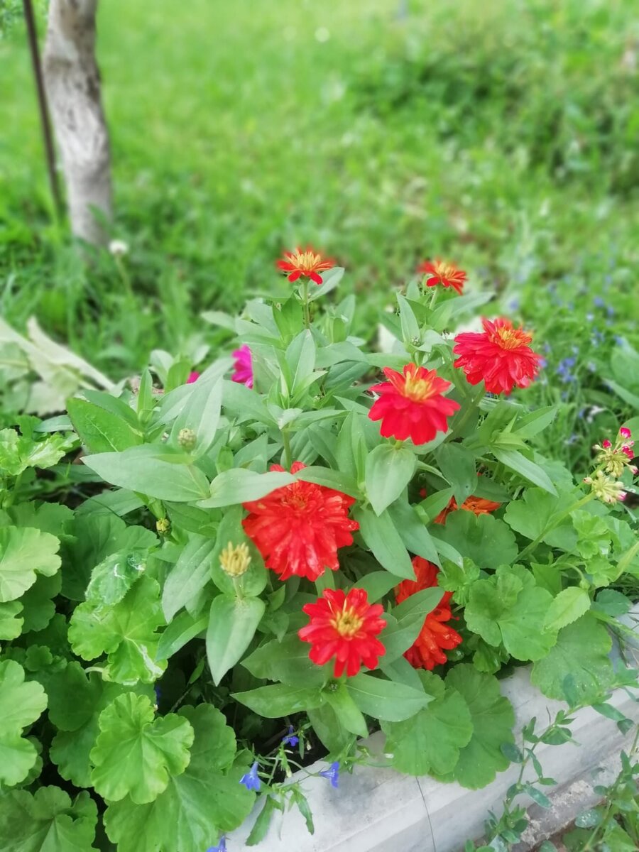 Начало лета, все только начинается.