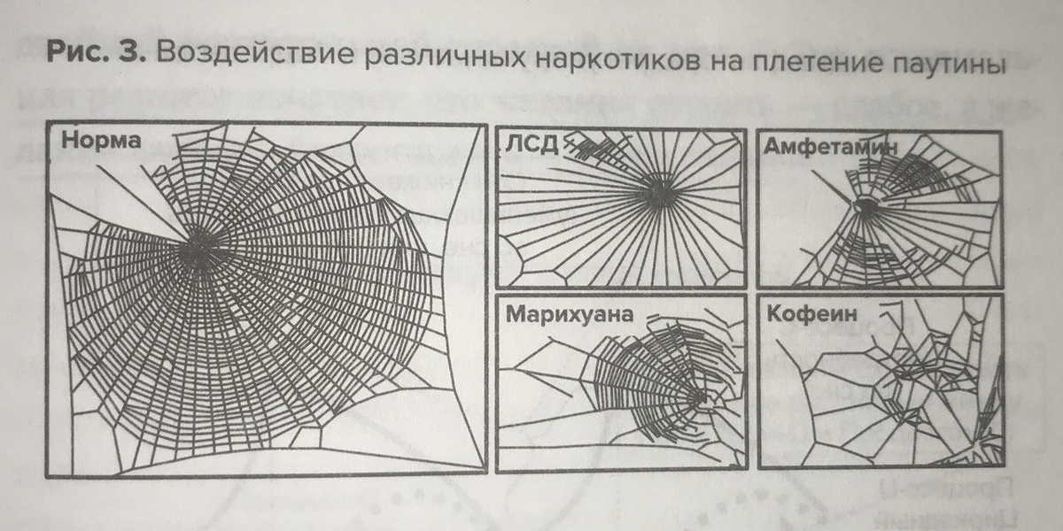 Начни иначе, высыпаться.