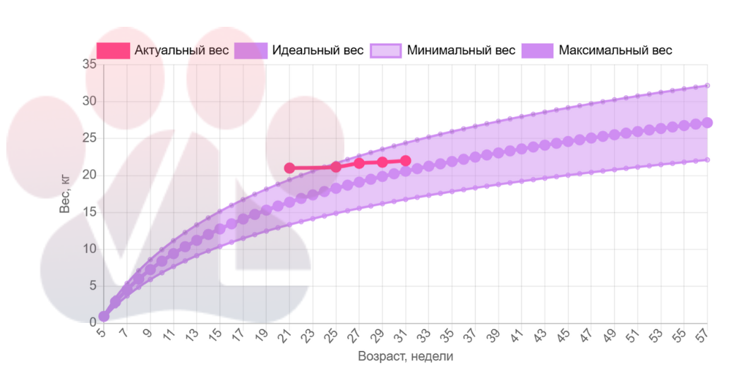 При работе с щенками обязательно строится график роста, по нему следим за питомцем постоянно! Труднее всего в этом плане с беспородными животными, потому что с ними приходится гадать и делать прогнозы, основываясь на куче примерной информации (есть либратья/сёстры, на кого похожа, в идеале посмотреть на родителей).