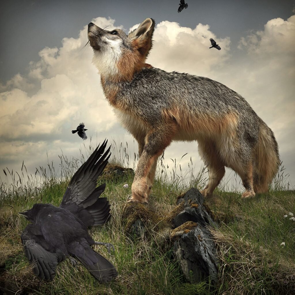     Фото: Tom Chambers