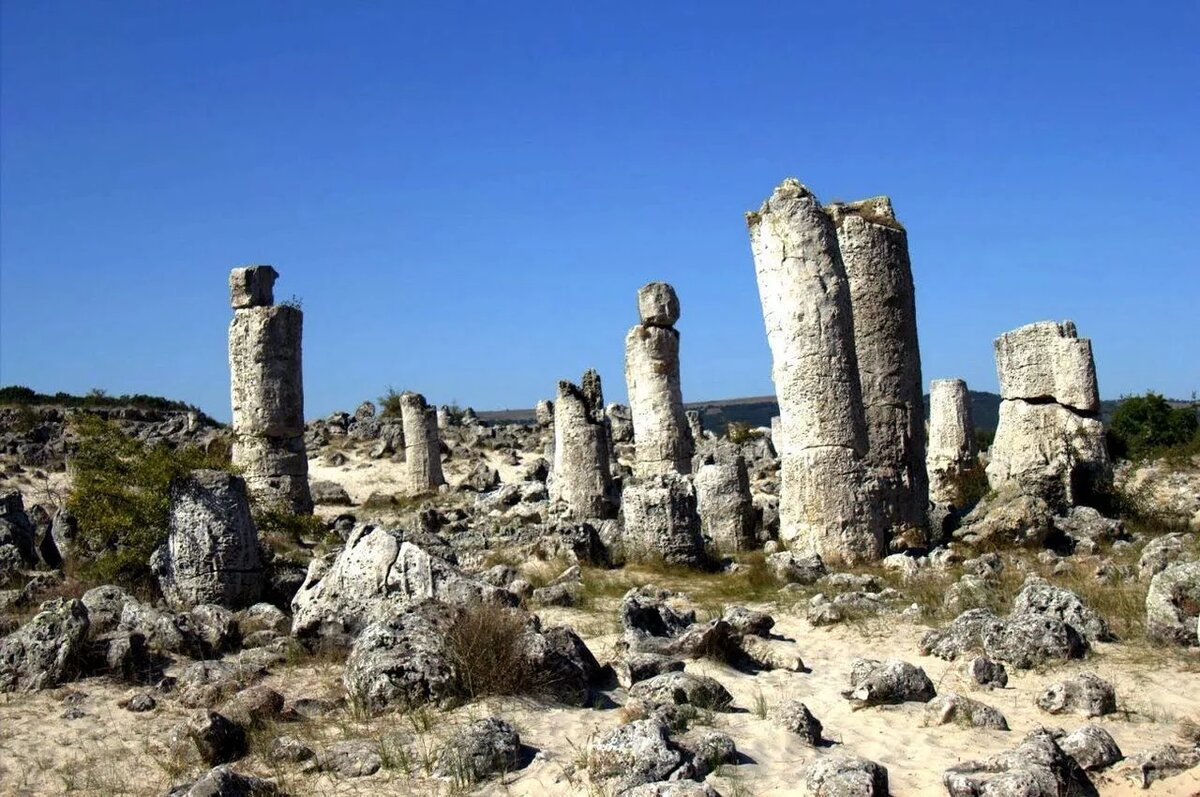 Каменный болгарский лес/ © bulgaria-sun.ru