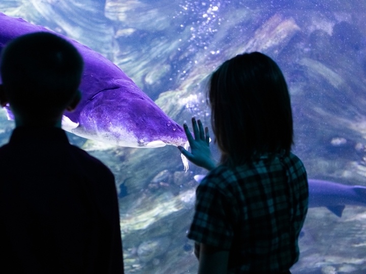     Фото министерства просвещения России