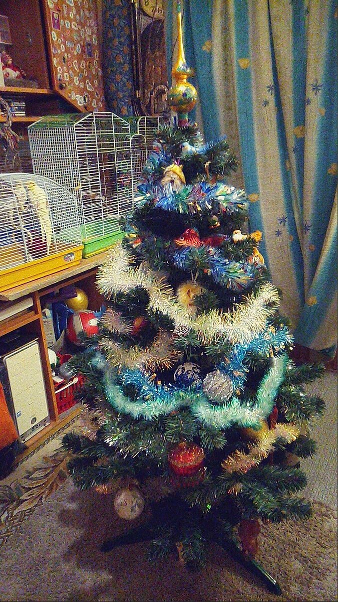 а это сын вчера нарядил такую красавицу 