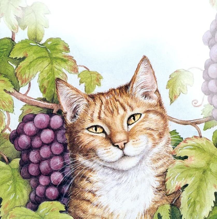 Котики на работах Дебби Кук