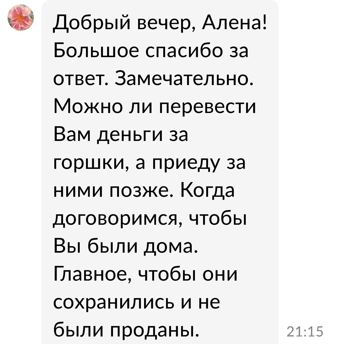 Авито. Иногда доставка по городу съедает всю прибыль от продажи | Звёзды и  пыль... | Дзен