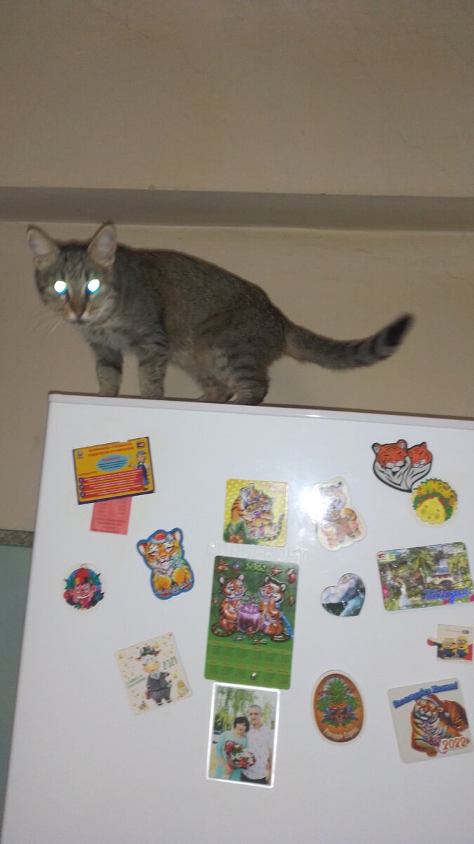 Демон Мурка для разрядки.