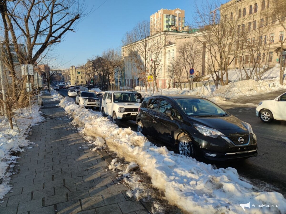 Многострадальные платные парковки во Владивостоке стали пристанищем машин  без номеров | PrimaMedia.ru | Дзен