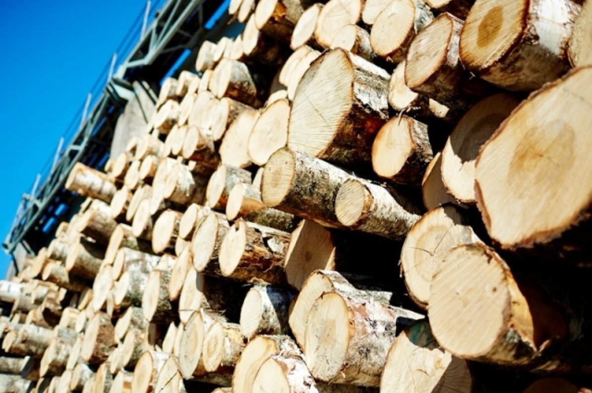    Прокуратура возбудила дело о контрабанде леса в Иркутске