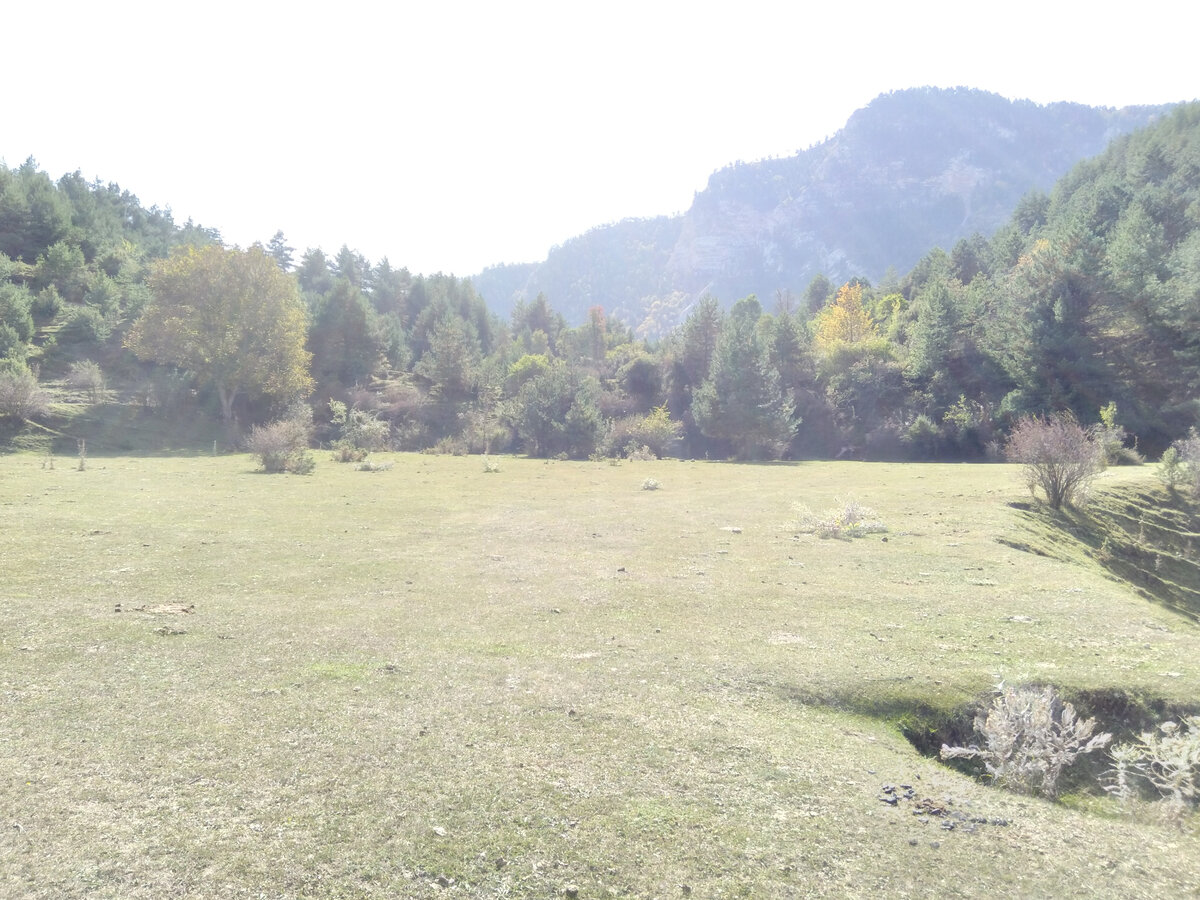 Практически луга, на закрытой территории обзорной площадки Ирганайского водохранилища