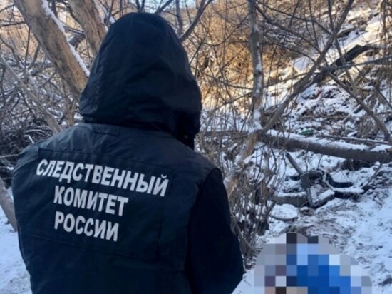     Фото: СУ СК по Саратовской области