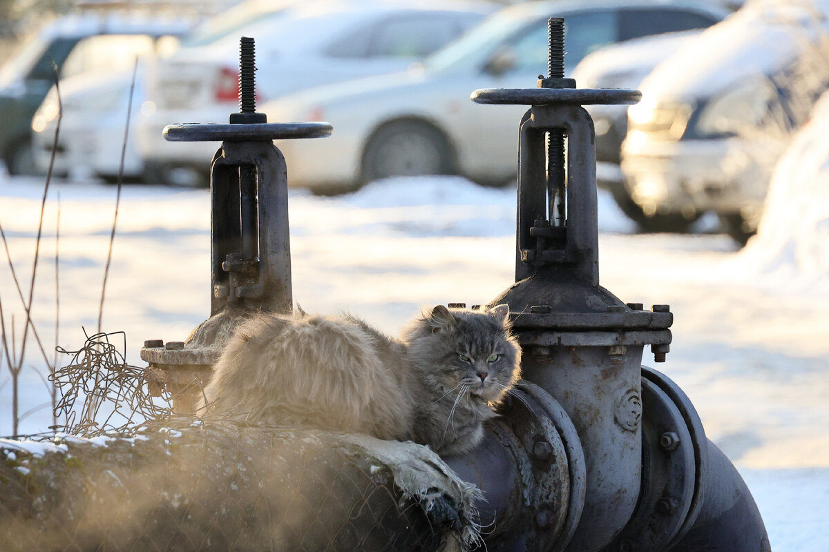 © Владимир Смирнов/ТАСС