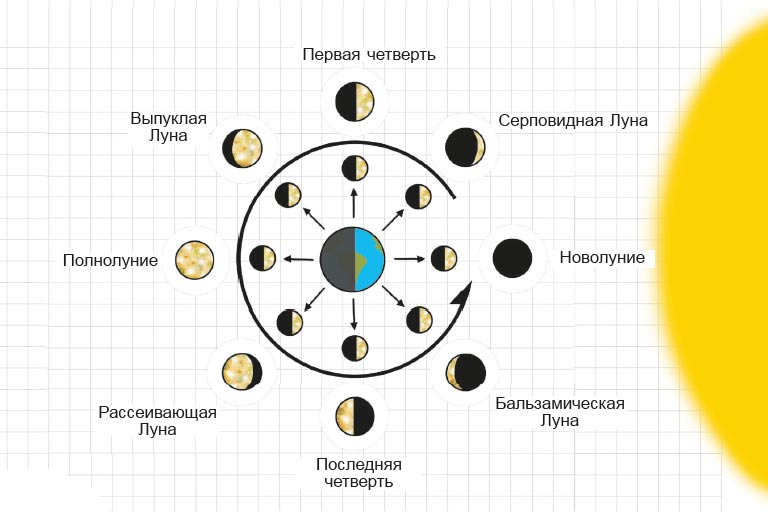 Фазы Луны схема. Бальзамическая фаза Луны. Схема смены фаз Луны. Фазы Луны изображение. Где новолуние