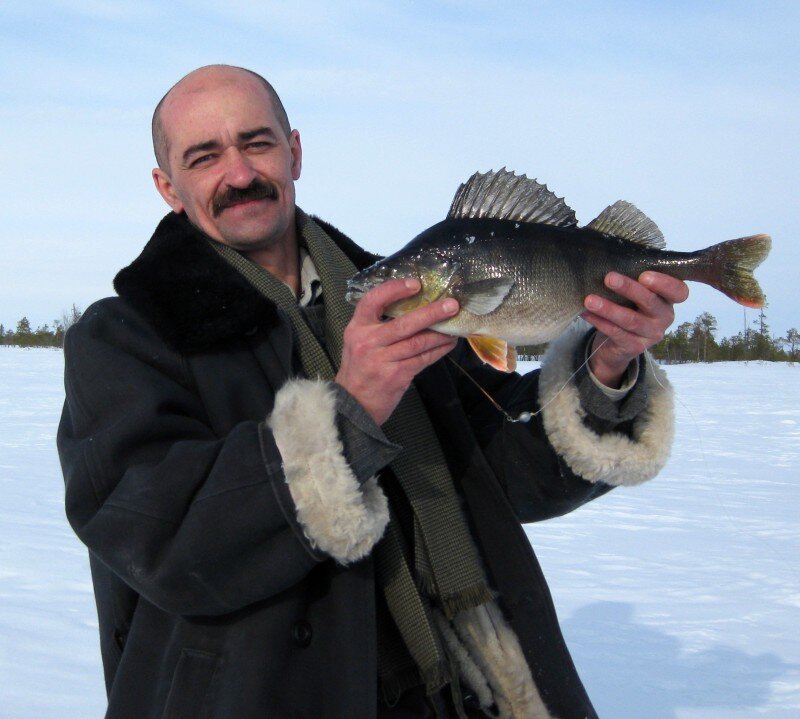 Рыбак с рыбой. Где можно хорошо порыбачить. Рыбаки внизу ловят окуня. Рыбинское водохранилище рыбалка. Воблер для ловли в траве.
