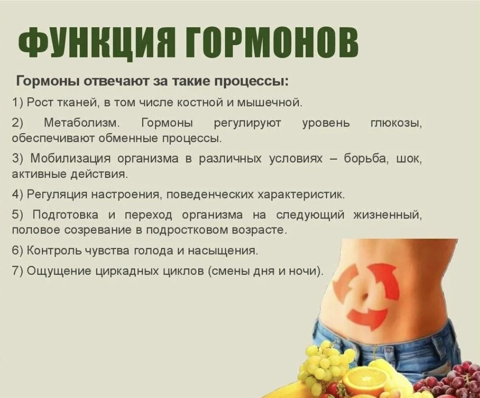 Основные функции гормонов