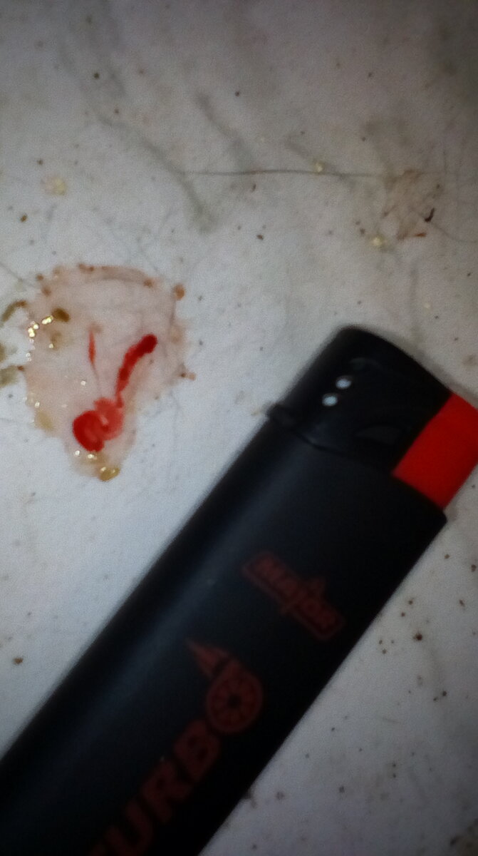 При цистите, без закупорки уретры, мочевой пузырь часто бывает пустой, но животное продолжает попытки сходить по маленькому и они безрезультатные (за отсутствием мочи) или очень скудные часто с примесью крови. При чём когда мочевой пузырь пустой, то кровяные выделения могут быть яркие, а когда в мочевом пузыре скопилось хоть немного мочи, то она окрашивается в просто розоватый цвет.

