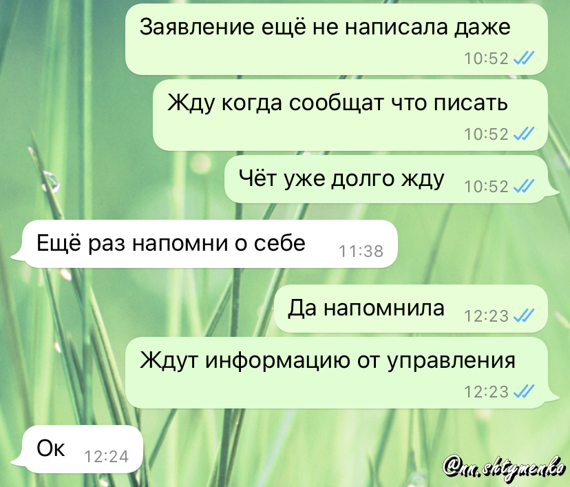 Переписка с молодым человеком о том, как я ждала пока мне предоставят образец написания заявления на увольнение