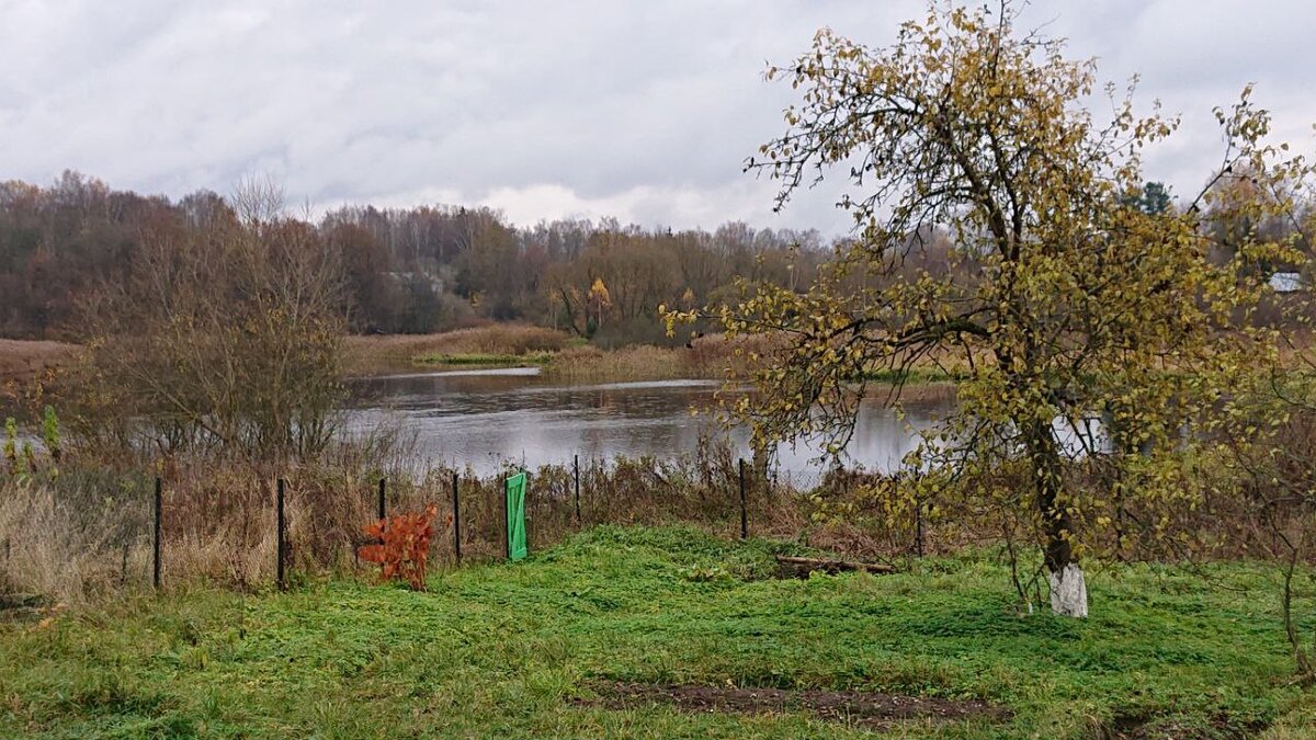 Фото из личного архива. Та самая яблоня.🥰